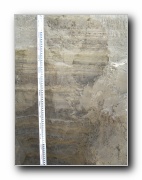 Click to enlarge this image